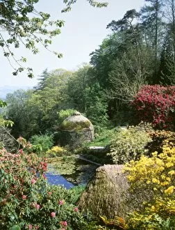 Additions Gallery: Gardens, Cotehele House, Tamar Valley, Cornwall