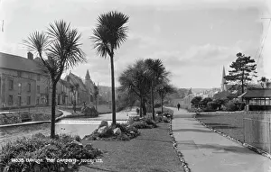 Dawlish Prints: The Gardens in Dawlish