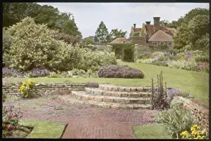 Shrub Prints: Gardens of Earlham Hall, near Norwich, Norfolk