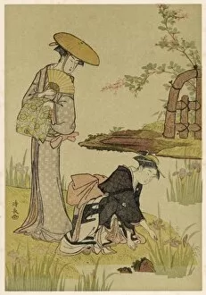 Japan Collection: Gardens / Iris Japan 1908
