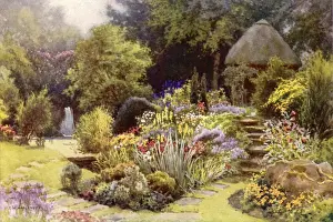 Gardens / Rufford Abbey