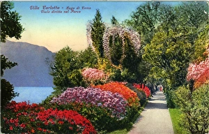 Villa Gallery: The Gardens, Villa Carlotta, Lago di Como - Lake Como