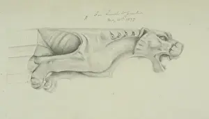 Waterhouse Prints: Gargoyle design