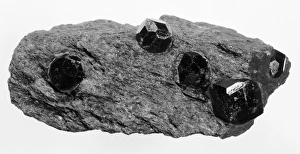 Garnet Gallery: Garnetiferous schist