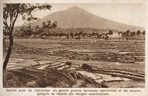 Paddy Prints: Garoet, Indonesia
