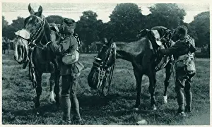 Centres Prints: Gas-masked horse and horseman at Aldershot