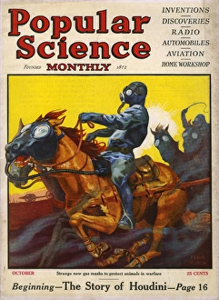 Images Dated 24th November 2016: Gas Masks for Horses