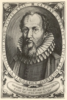 Discoveries Gallery: Gaspar Aselli