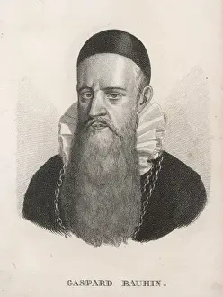 Gaspard Bauhin