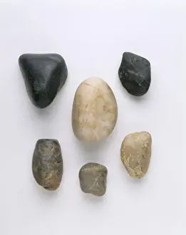 Gastroliths, stomach stones