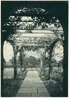 Pergola Prints: The Gate House Pergola, Limpsfield