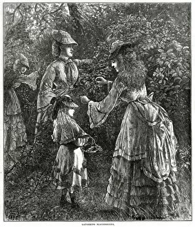 Images Dated 8th August 2018: Gathering blackberries 1872