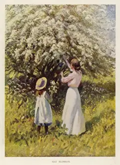 Gather Prints: Gathering May Blossom