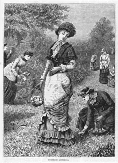 Gathering Mushrooms 1886