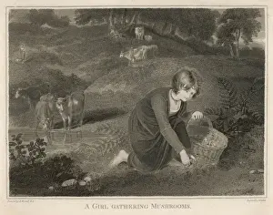 Bare Foot Prints: Gathering Mushrooms