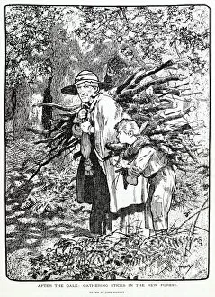 Images Dated 18th December 2020: Gathering sticks in the New Forest. Date: 1903
