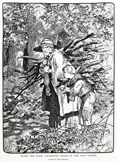 Firewood Prints: Gathering sticks in the New Forest. Date: 1903
