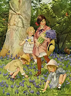 Gathering wild flowers