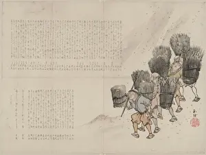 Gathering wood