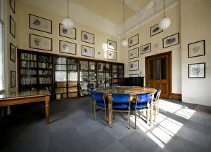 Gavin Prints: The Gavin De Beer room