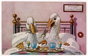 Easter Collection: Geese in Bed