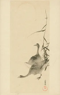 Reeds Prints: Geese reeds and a full moon - Japanese woodblock print