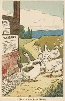 Notice Collection: Geese unhappy at the arrival of Michaelmas