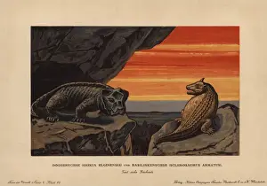 Mammalian Prints: Geikia elginensis, extinct synapsid, and Sclerosaurus