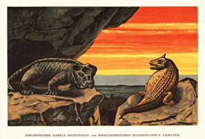 Geikia elginensis and Sclerosaurus armatus