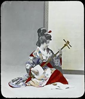 Geishas Collection: Geisha Playing Shamisen