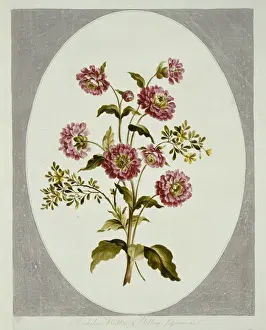 Gelsemium empervirens, yellow jasmine