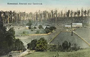 Homesteads Prints: Gembrook, Australia
