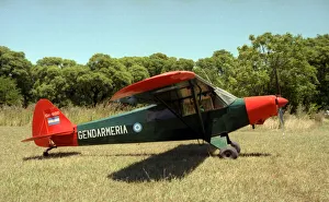 Images Dated 4th June 2020: Gendarmeria Nacional Argentina Piper Cub GN-600