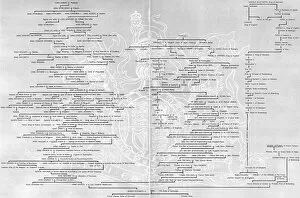 1953 Gallery: Genealogical Table - Queen Elizabeth II