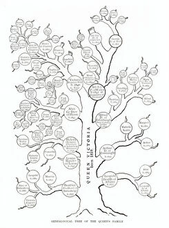 Pedigree Gallery: Genealogical tree of Queen Victorias family