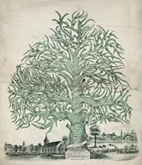 Genealogy. Lee family of Virginia and Maryland