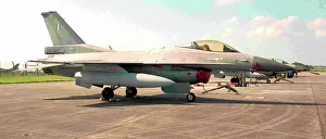 General Dynamics F-16C Fighting Falcon 133