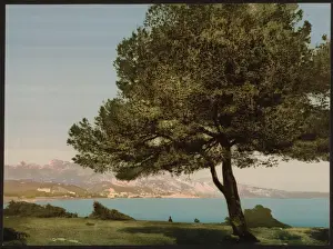 General view, Cap Martin, Mentone, Riviera
