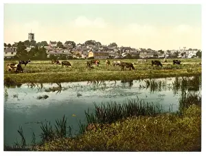 General view, Dorchester, England