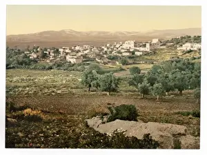 General view, Jenin, Holy Land, (i. e. West Bank)