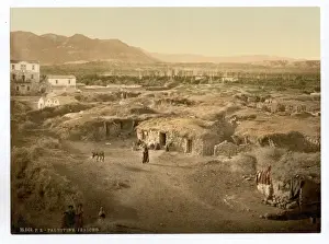 Jericho Prints: General view, Jericho, Holy Land, (i. e. West Bank)