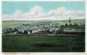 Cumbrian Gallery: General View looking toward Cockermouth from Harris Park