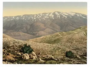 Hermon Prints: General view, Mount Hermon, Holy Land (i. e. Lebanon and Syr