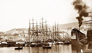 Genoa Prints: Genoa Harbour, Italy