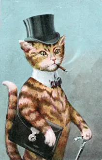 Gentleman cat in a top hat on a greetings postcard