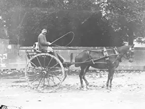 Gentleman driving a horse and trap, Mid Wales