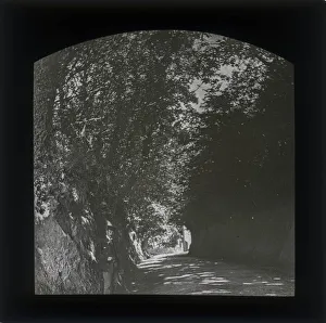 Images Dated 20th May 2019: Gentleman at side of rural lane, unkown location