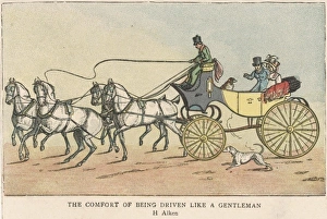 Whip Collection: Gents Private Carriage