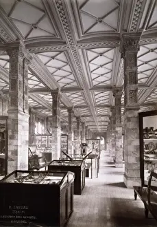 Vast Prints: Geological Gallery, 1882