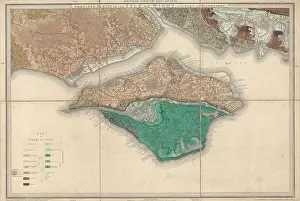 Murchison Prints: Geological Map of England and Wales. Sheet 10 Isle of Wight